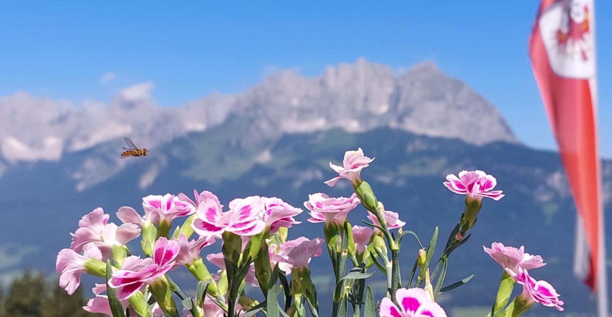 Chalet Terry Sankt Johann in Tirol Exterior foto